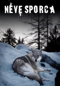 film poster